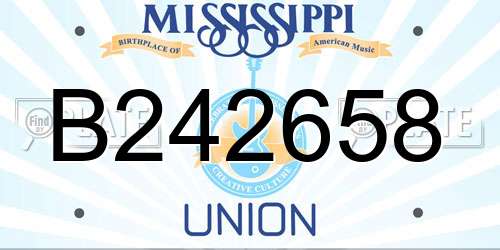 B242658 Mississippi License Plate