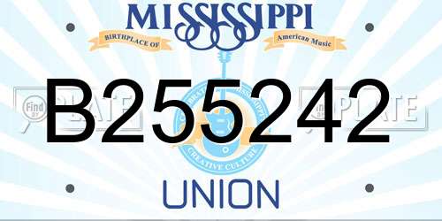 B255242 Mississippi License Plate