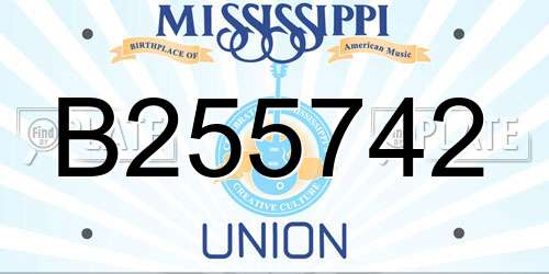 B255742 Mississippi License Plate