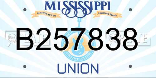 B257838 Mississippi License Plate
