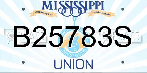 B25783S Mississippi License Plate