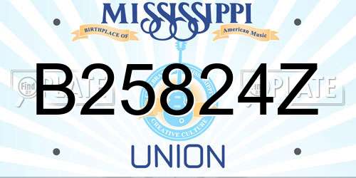 B25824Z Mississippi License Plate