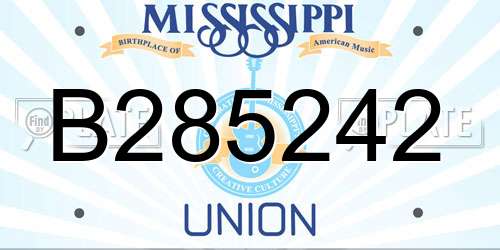 B285242 Mississippi License Plate