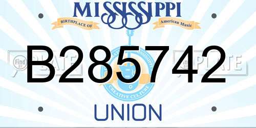 B285742 Mississippi License Plate