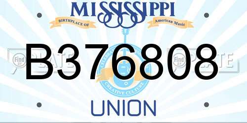 B376808 Mississippi License Plate