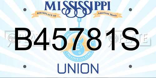 B45781S Mississippi License Plate