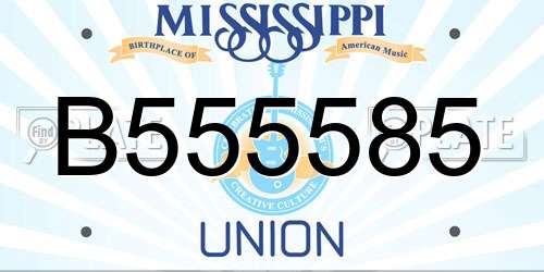 B555585 Mississippi License Plate