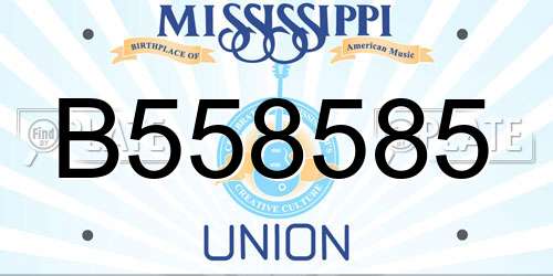 B558585 Mississippi License Plate