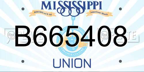 B665408 Mississippi License Plate