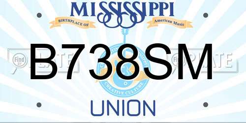 B738SM Mississippi License Plate