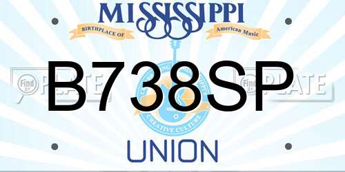 B738SP Mississippi License Plate