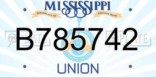B785742 Mississippi License Plate