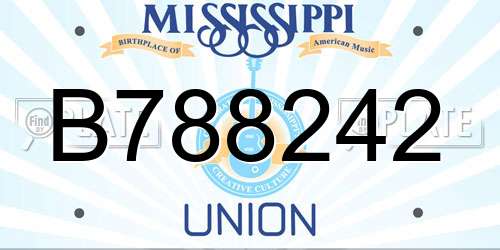 B788242 Mississippi License Plate