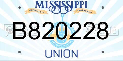 B820228 Mississippi License Plate