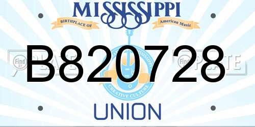 B820728 Mississippi License Plate