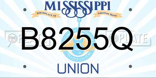 B8255Q Mississippi License Plate