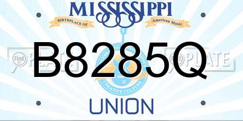 B8285Q Mississippi License Plate
