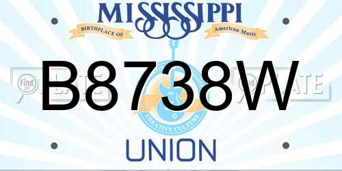 B8738W Mississippi License Plate