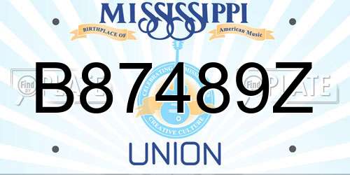 B87489Z Mississippi License Plate