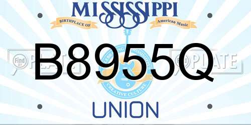 B8955Q Mississippi License Plate