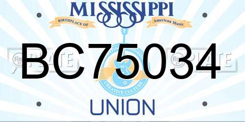 BC75034 Mississippi License Plate