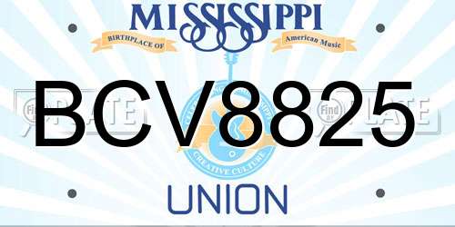 BCV8825 Mississippi License Plate