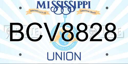 BCV8828 Mississippi License Plate