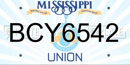 BCY6542 Mississippi License Plate