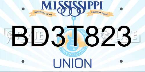 BD3T823 Mississippi License Plate