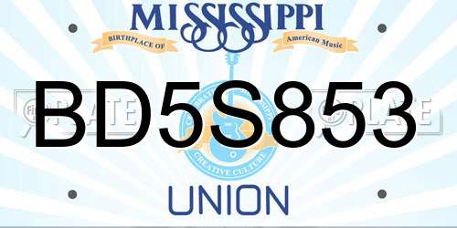 BD5S853 Mississippi License Plate