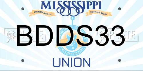BDDS33 Mississippi License Plate