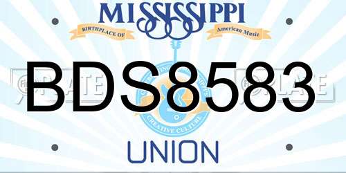 BDS8583 Mississippi License Plate
