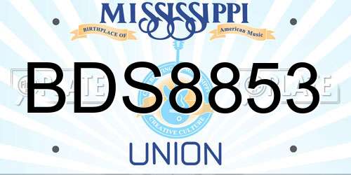 BDS8853 Mississippi License Plate