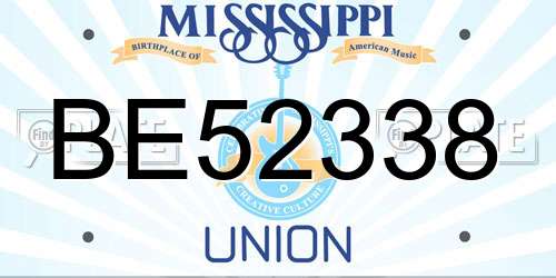 BE52338 Mississippi License Plate