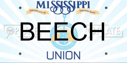 BEECH Mississippi License Plate
