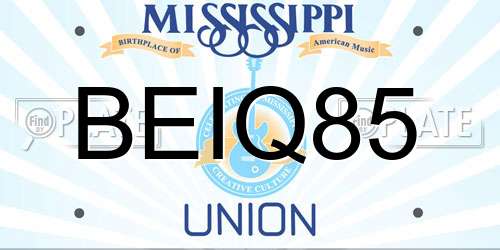 BEIQ85 Mississippi License Plate