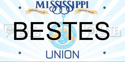 BESTES Mississippi License Plate