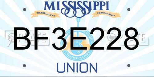 BF3E228 Mississippi License Plate