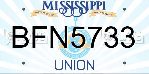 BFN5733 Mississippi License Plate