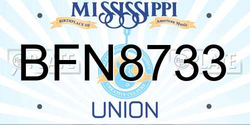 BFN8733 Mississippi License Plate