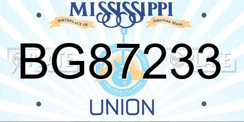 BG87233 Mississippi License Plate