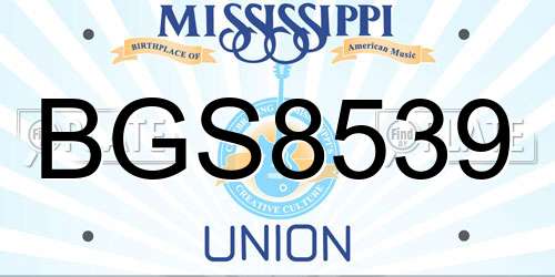 BGS8539 Mississippi License Plate