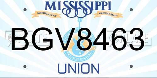 BGV8463 Mississippi License Plate