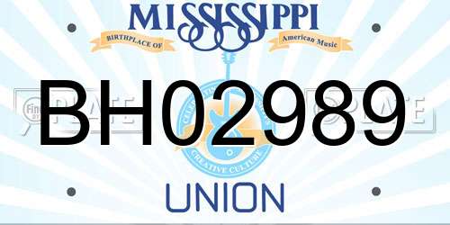BH02989 Mississippi License Plate