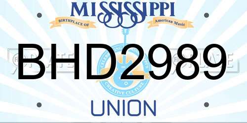 BHD2989 Mississippi License Plate