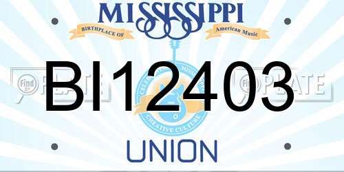 BI12403 Mississippi License Plate