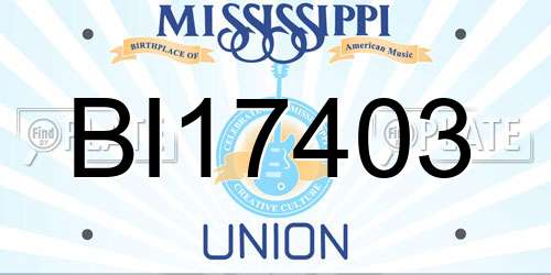 BI17403 Mississippi License Plate