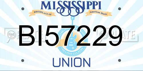 BI57229 Mississippi License Plate