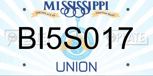 BI5S017 Mississippi License Plate