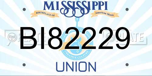 BI82229 Mississippi License Plate